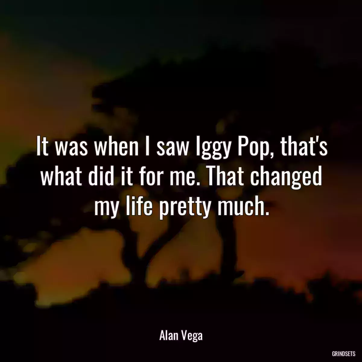 It was when I saw Iggy Pop, that\'s what did it for me. That changed my life pretty much.