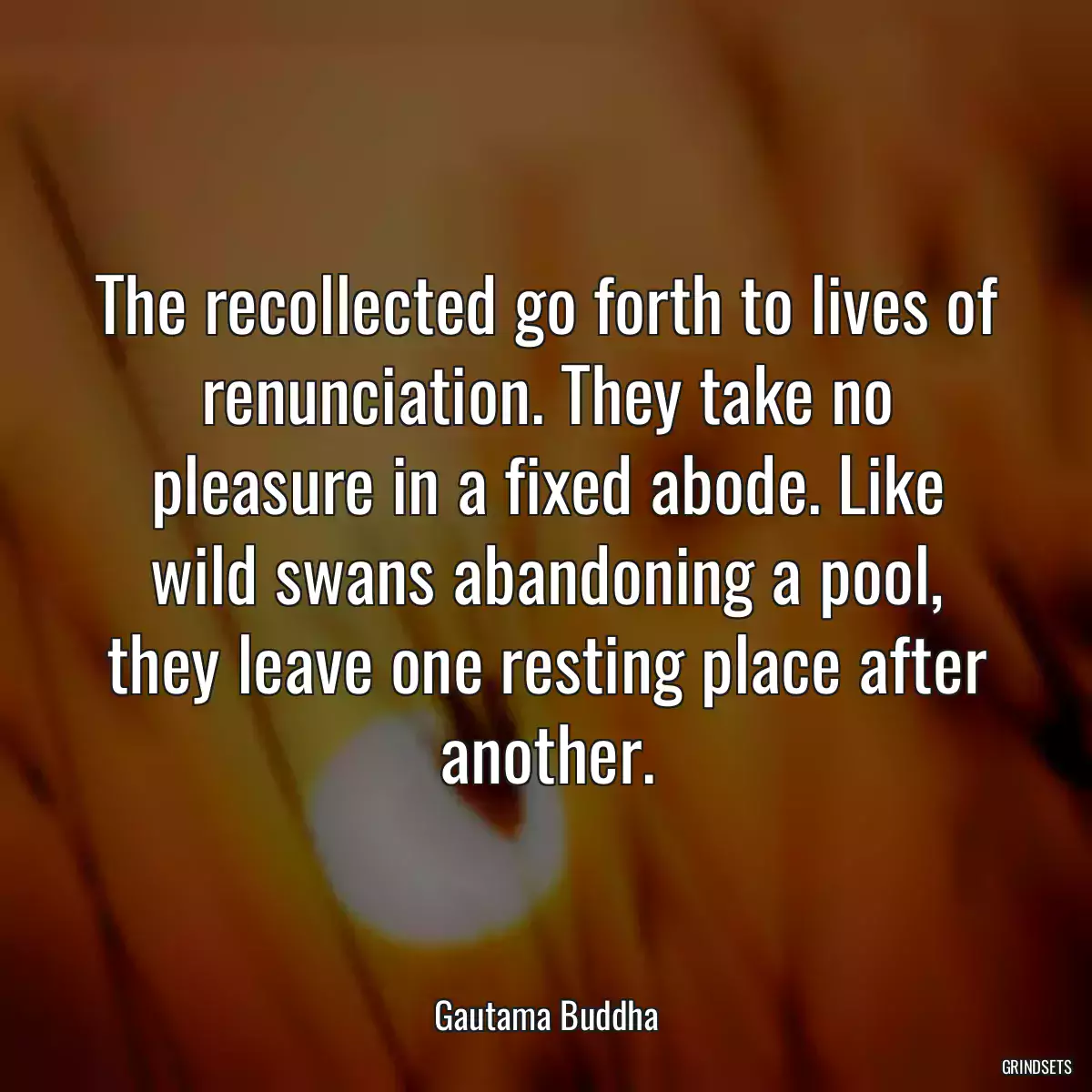 The recollected go forth to lives of renunciation. They take no pleasure in a fixed abode. Like wild swans abandoning a pool, they leave one resting place after another.