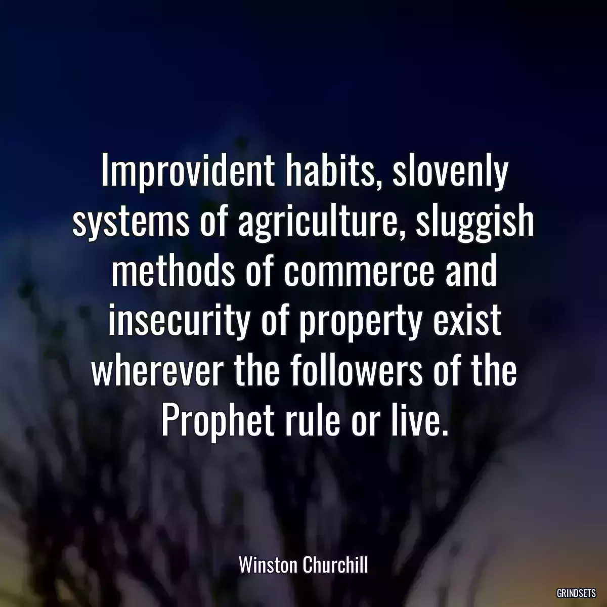 Improvident habits, slovenly systems of agriculture, sluggish methods of commerce and insecurity of property exist wherever the followers of the Prophet rule or live.