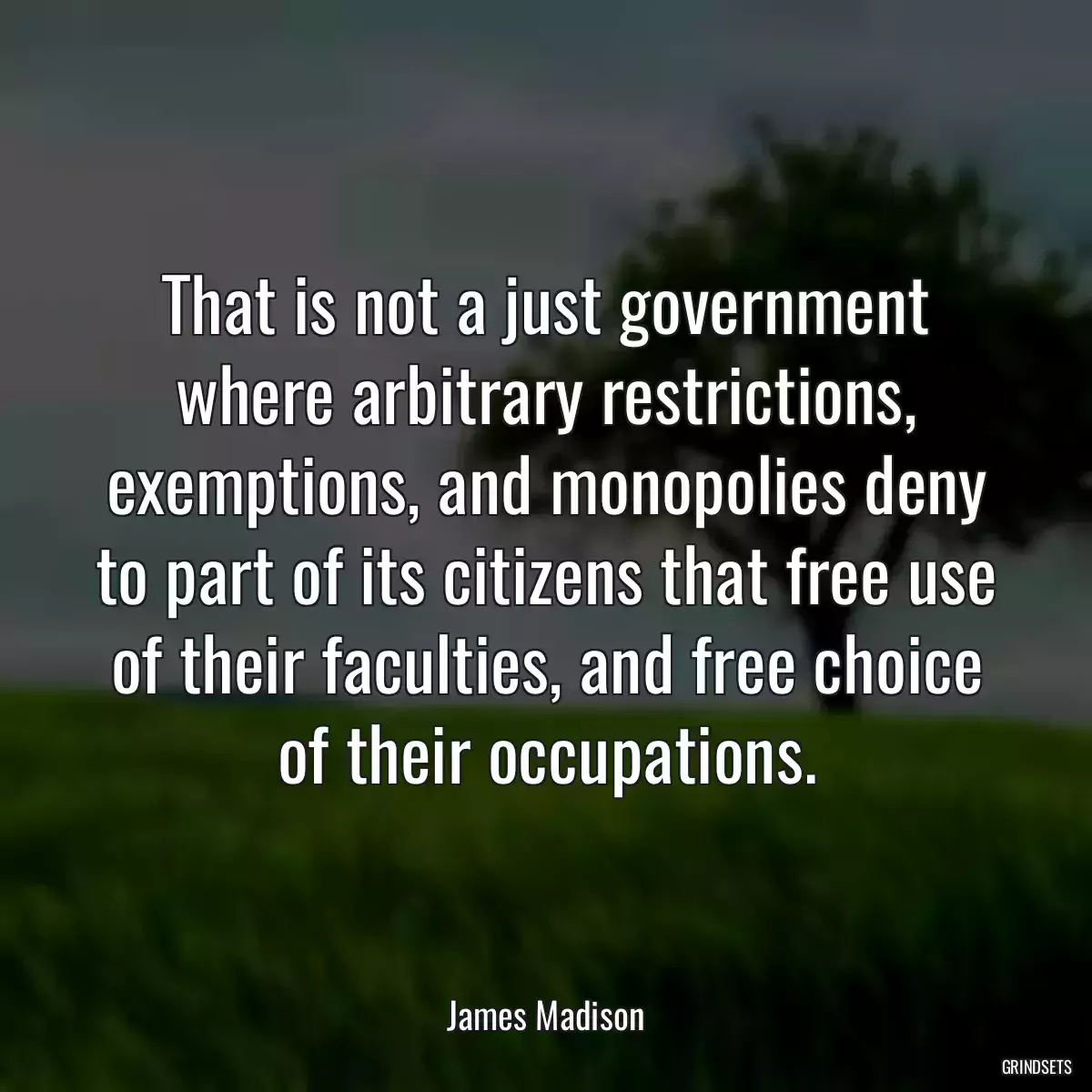 That is not a just government where arbitrary restrictions, exemptions, and monopolies deny to part of its citizens that free use of their faculties, and free choice of their occupations.