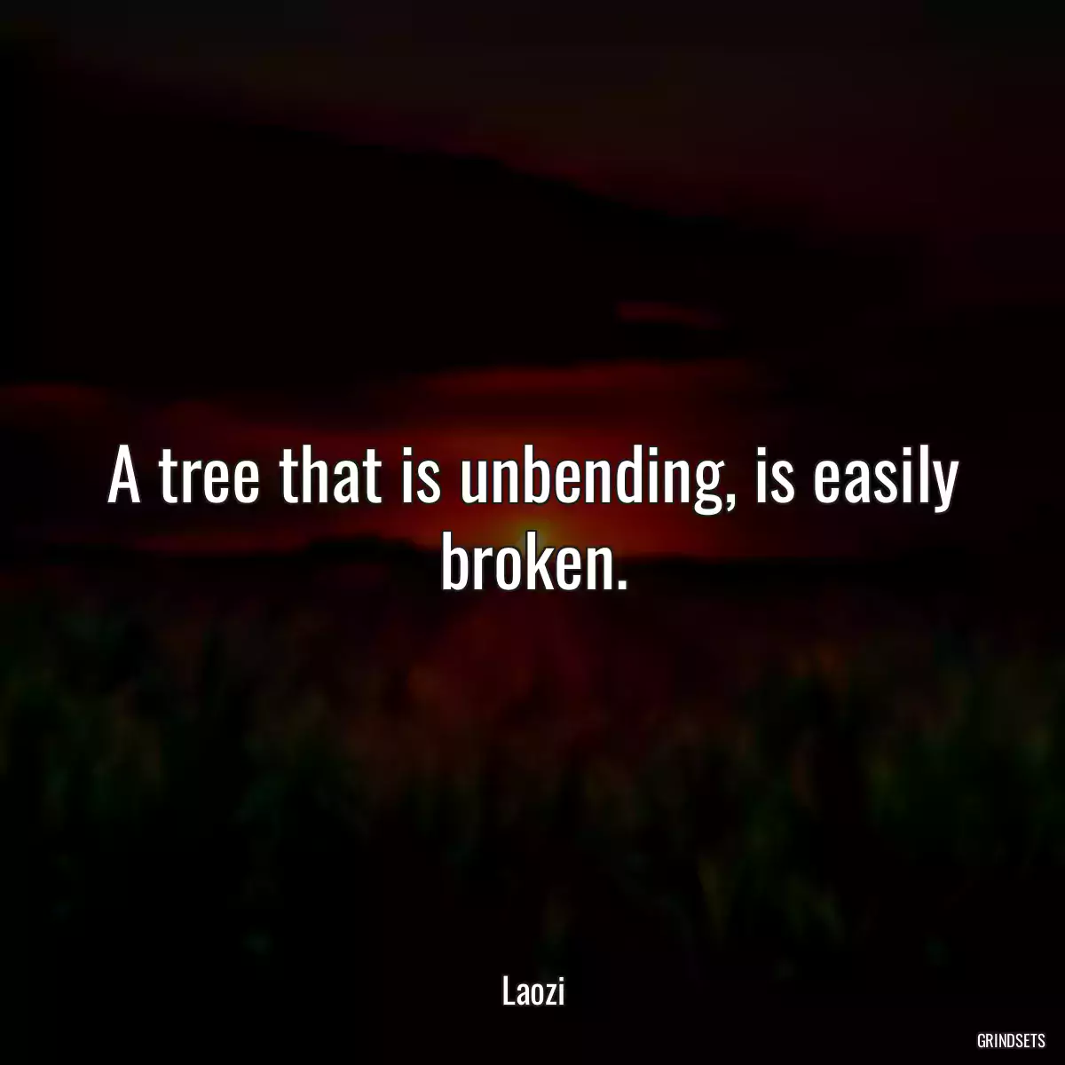 A tree that is unbending, is easily broken.
