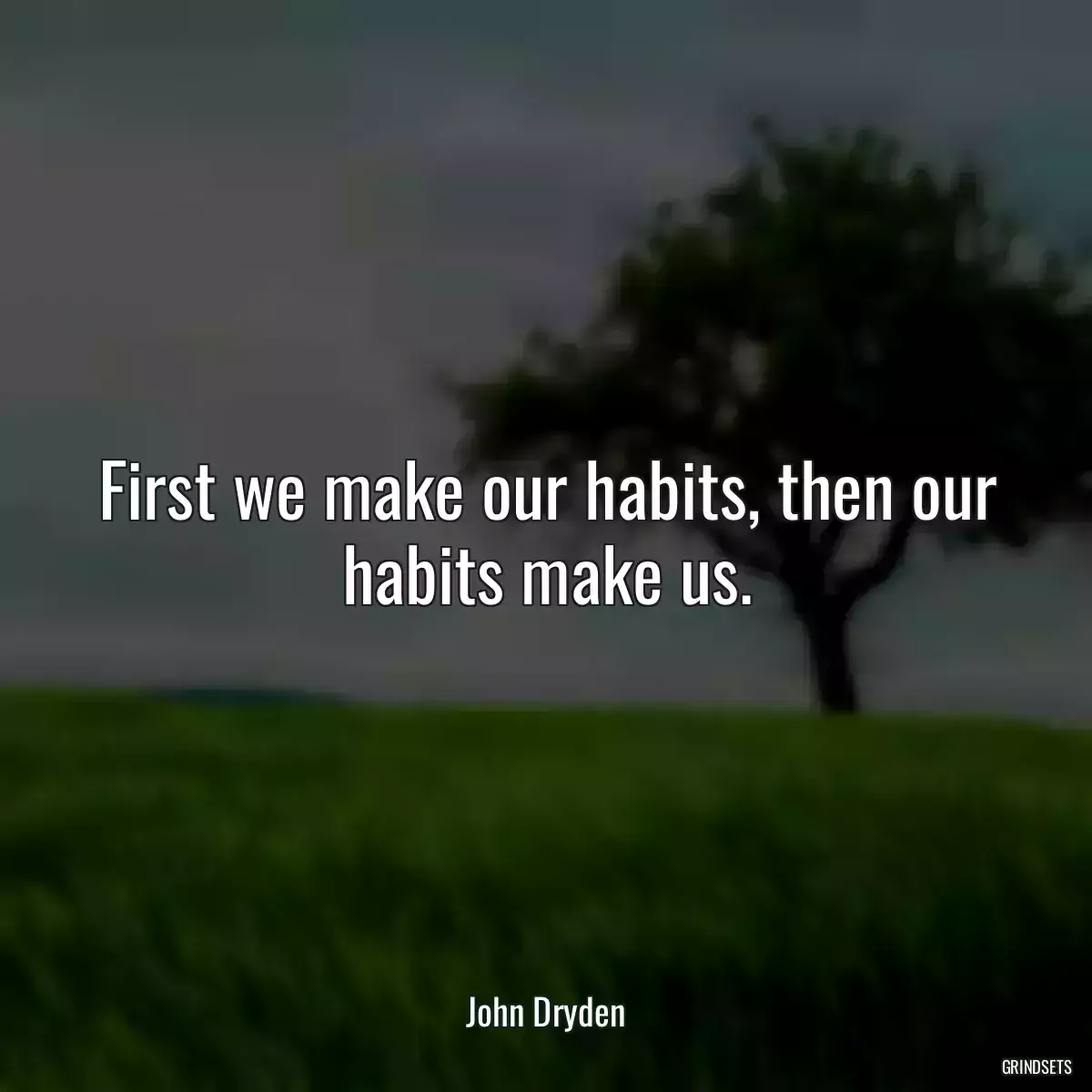 First we make our habits, then our habits make us.