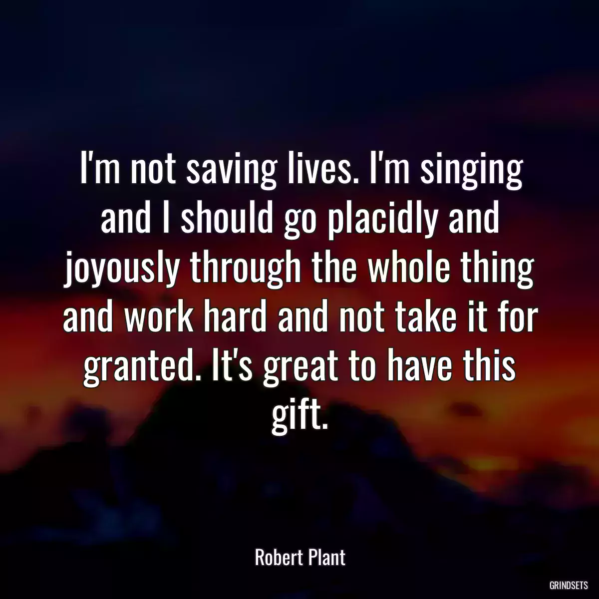 I\'m not saving lives. I\'m singing and I should go placidly and joyously through the whole thing and work hard and not take it for granted. It\'s great to have this gift.