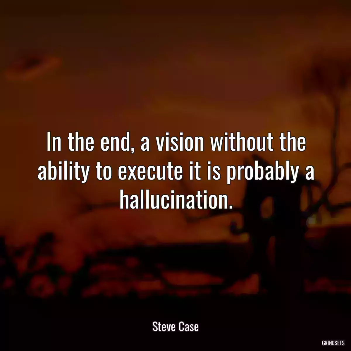 In the end, a vision without the ability to execute it is probably a hallucination.