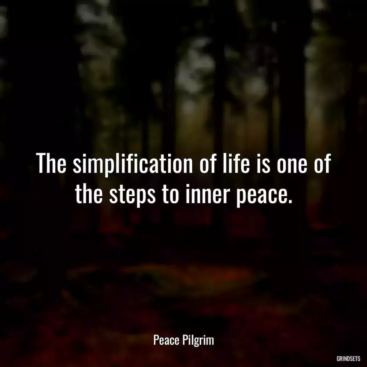 The simplification of life is one of the steps to inner peace.