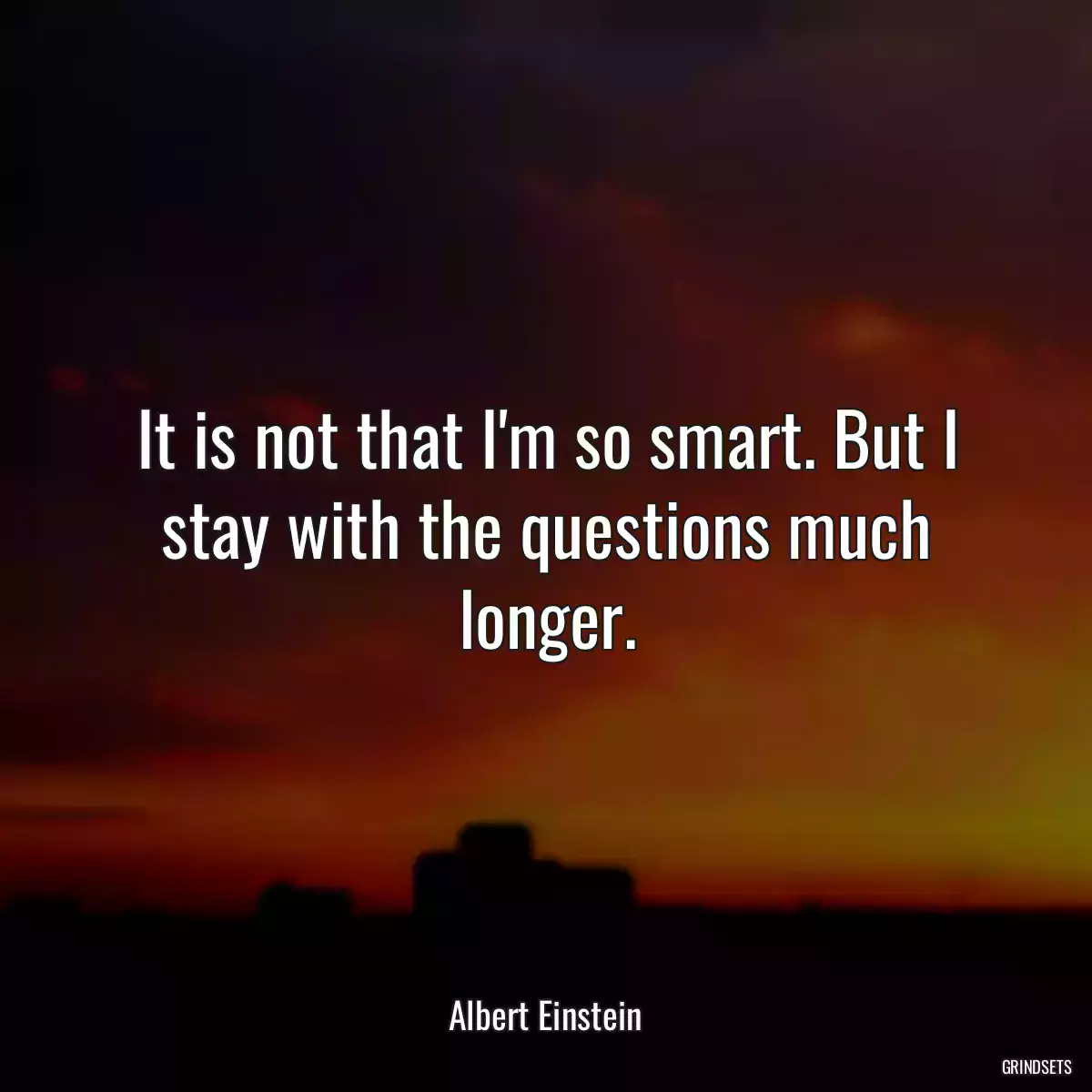 It is not that I\'m so smart. But I stay with the questions much longer.