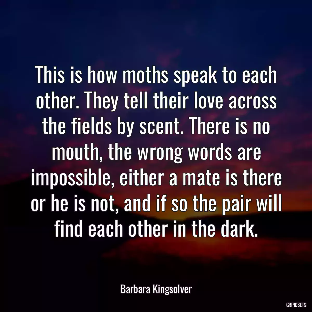 This is how moths speak to each other. They tell their love across the fields by scent. There is no mouth, the wrong words are impossible, either a mate is there or he is not, and if so the pair will find each other in the dark.