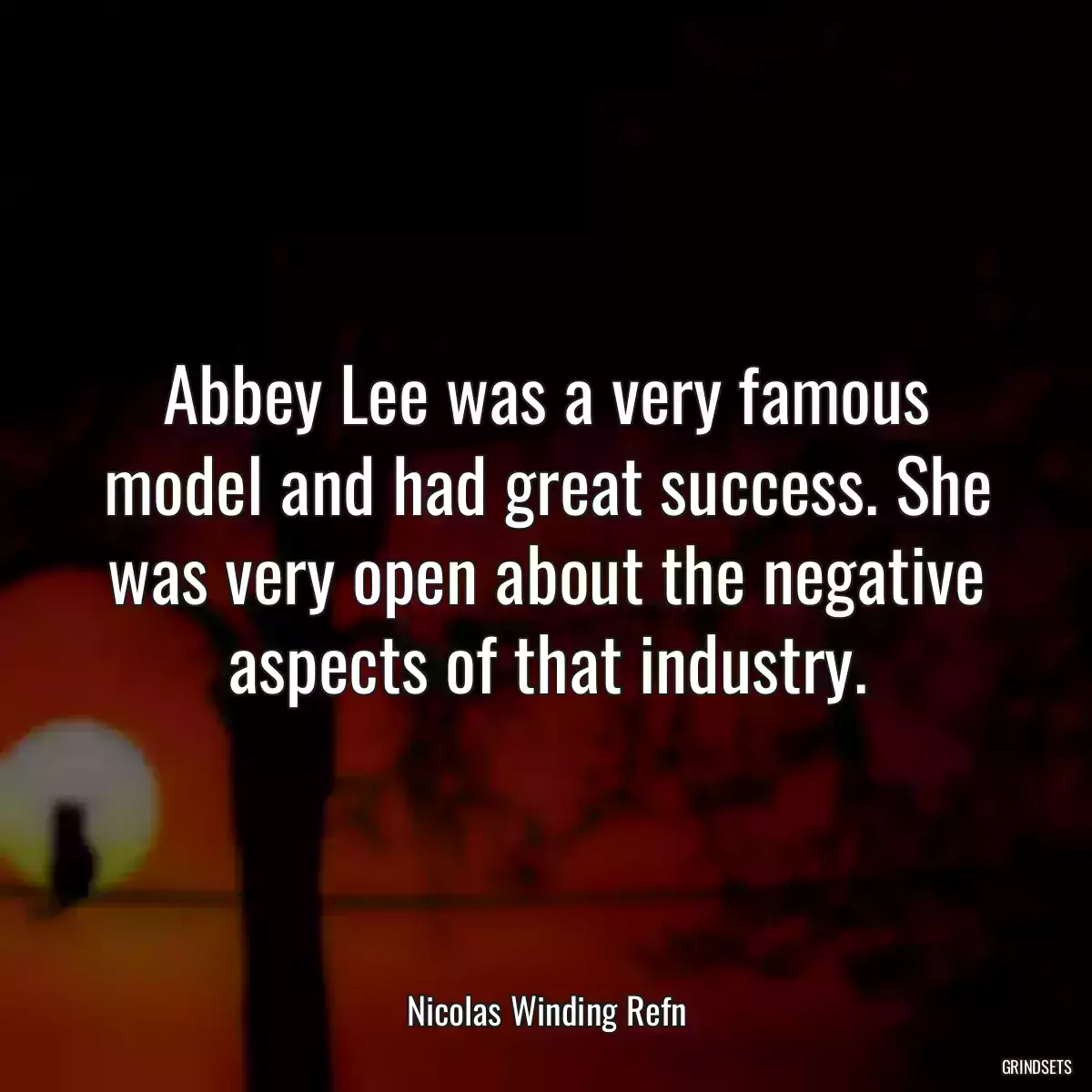 Abbey Lee was a very famous model and had great success. She was very open about the negative aspects of that industry.