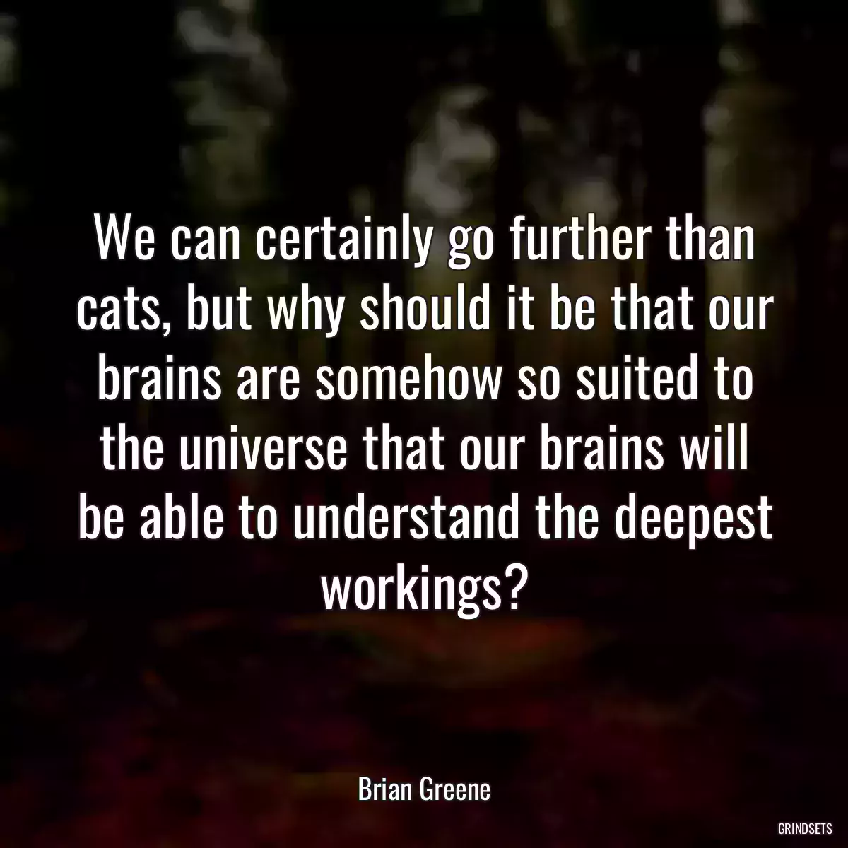 We can certainly go further than cats, but why should it be that our brains are somehow so suited to the universe that our brains will be able to understand the deepest workings?