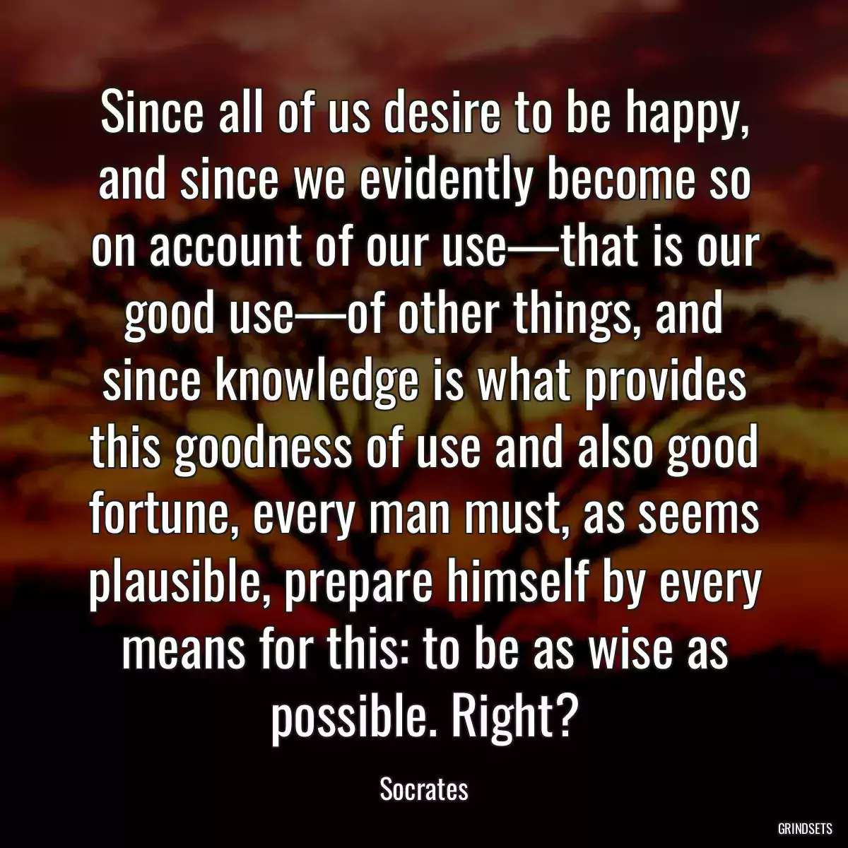 Since all of us desire to be happy, and since we evidently become so on account of our use—that is our good use—of other things, and since knowledge is what provides this goodness of use and also good fortune, every man must, as seems plausible, prepare himself by every means for this: to be as wise as possible. Right?