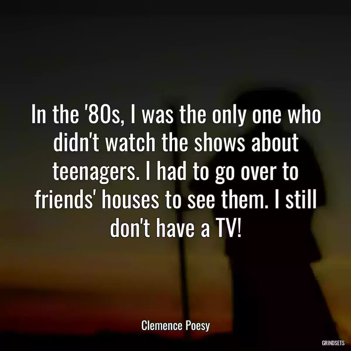 In the \'80s, I was the only one who didn\'t watch the shows about teenagers. I had to go over to friends\' houses to see them. I still don\'t have a TV!