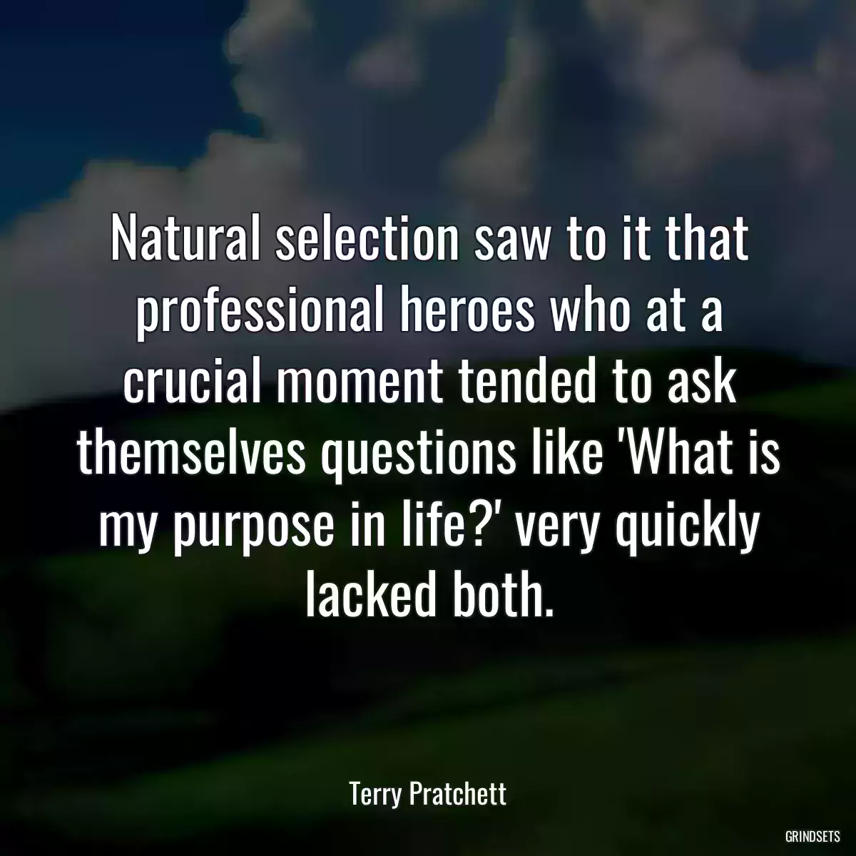 Natural selection saw to it that professional heroes who at a crucial moment tended to ask themselves questions like \'What is my purpose in life?\' very quickly lacked both.