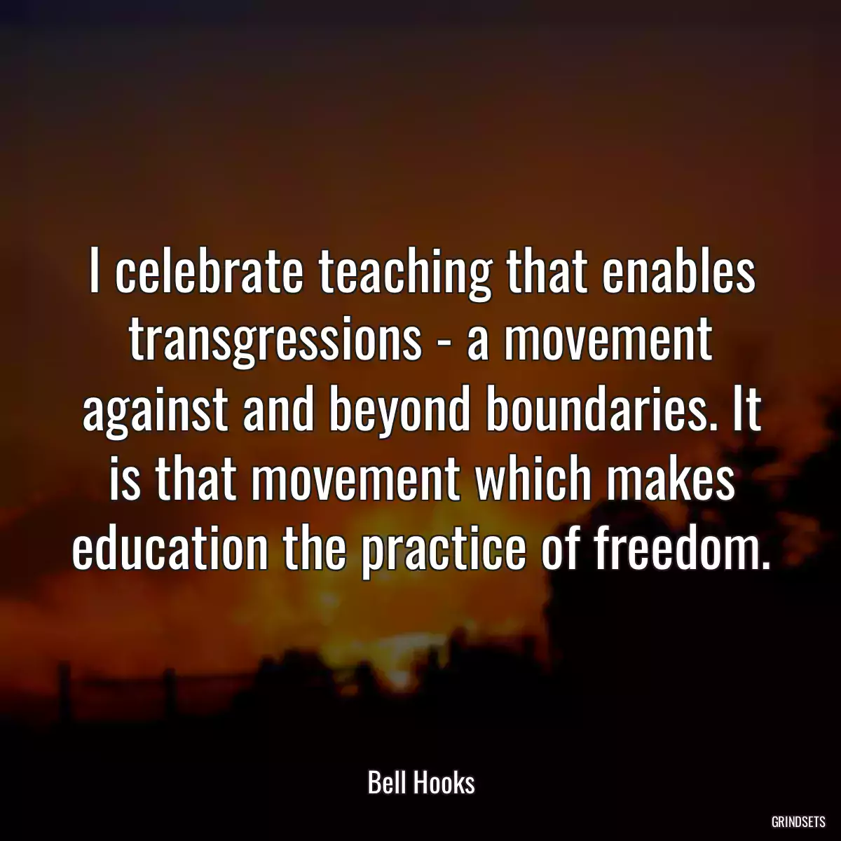 I celebrate teaching that enables transgressions - a movement against and beyond boundaries. It is that movement which makes education the practice of freedom.