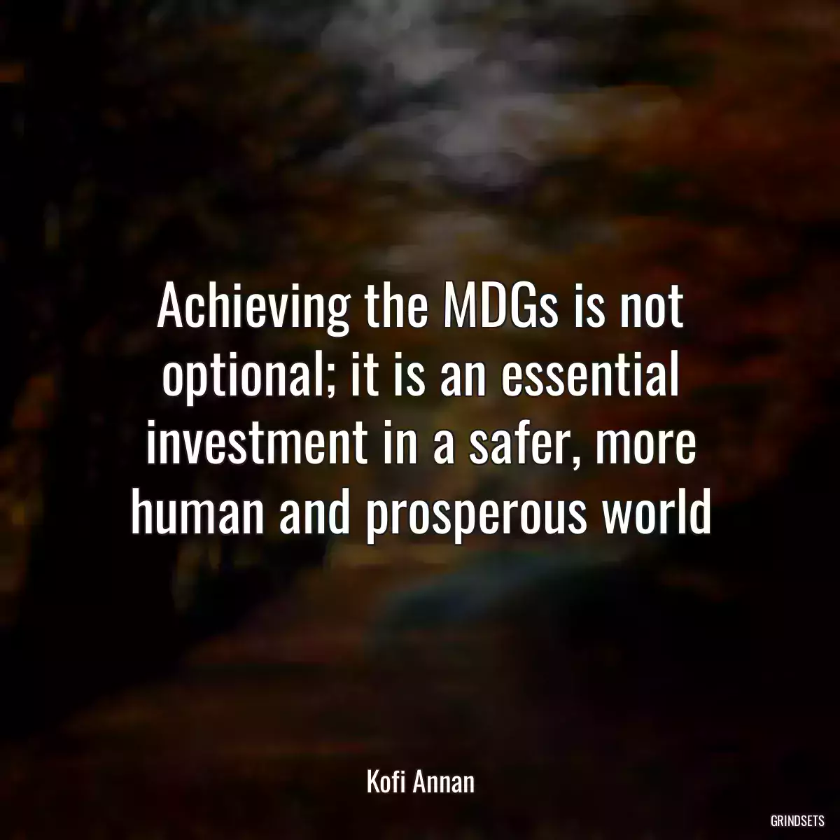 Achieving the MDGs is not optional; it is an essential investment in a safer, more human and prosperous world