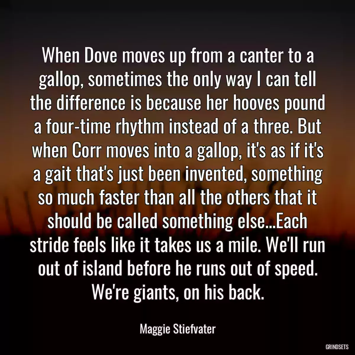 When Dove moves up from a canter to a gallop, sometimes the only way I can tell the difference is because her hooves pound a four-time rhythm instead of a three. But when Corr moves into a gallop, it\'s as if it\'s a gait that\'s just been invented, something so much faster than all the others that it should be called something else...Each stride feels like it takes us a mile. We\'ll run out of island before he runs out of speed. We\'re giants, on his back.