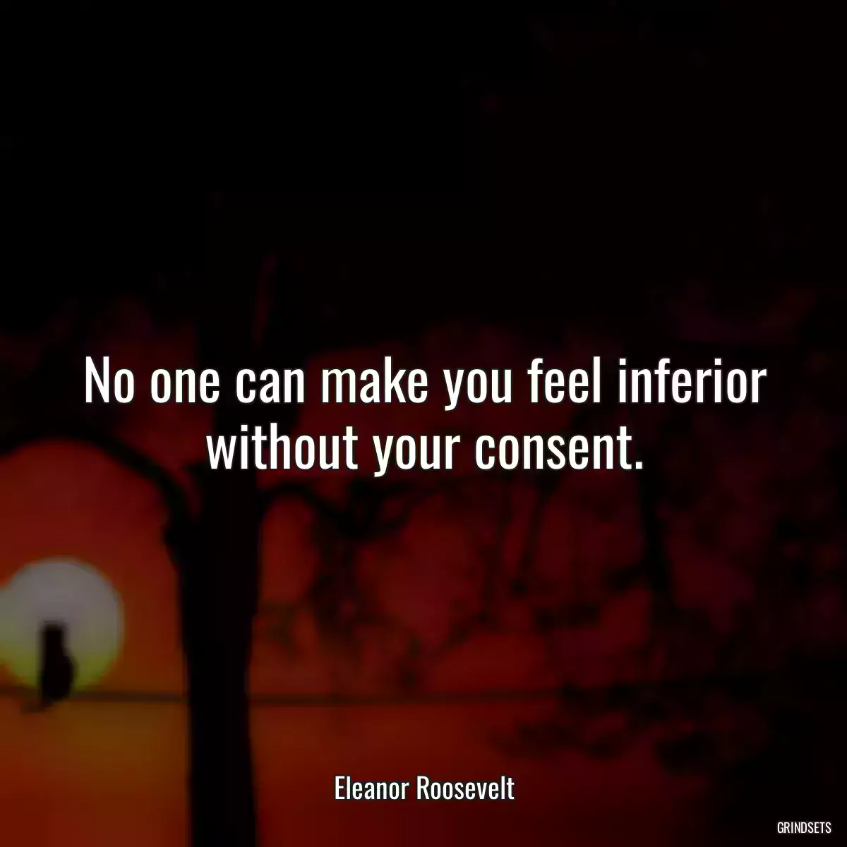 No one can make you feel inferior without your consent.