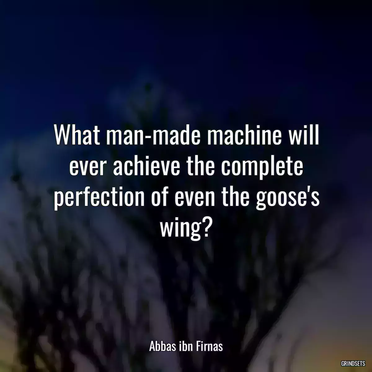 What man-made machine will ever achieve the complete perfection of even the goose\'s wing?