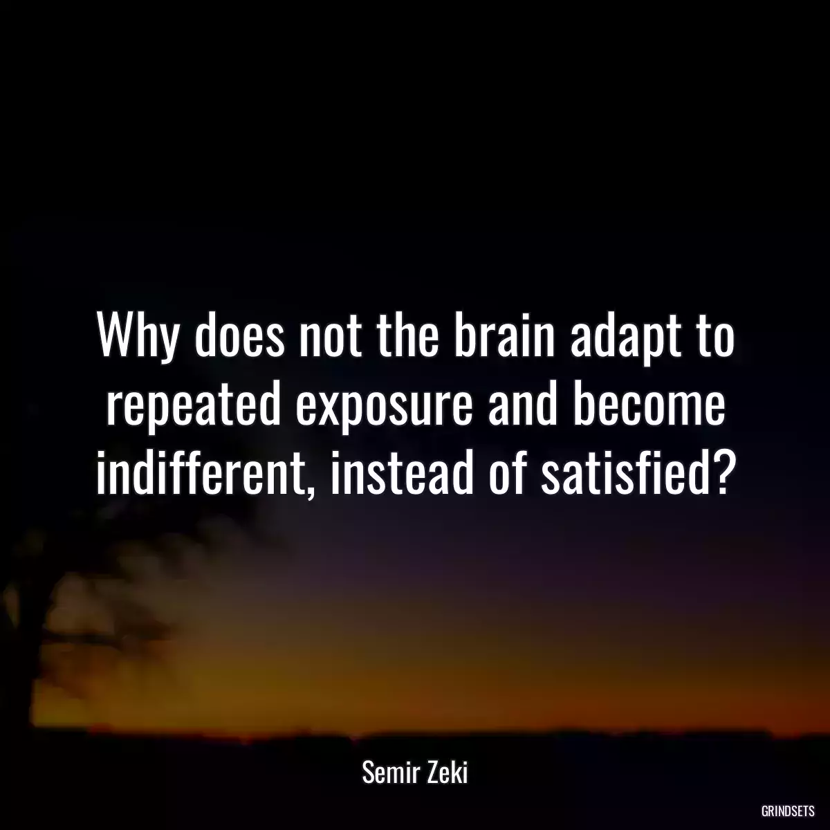 Why does not the brain adapt to repeated exposure and become indifferent, instead of satisfied?