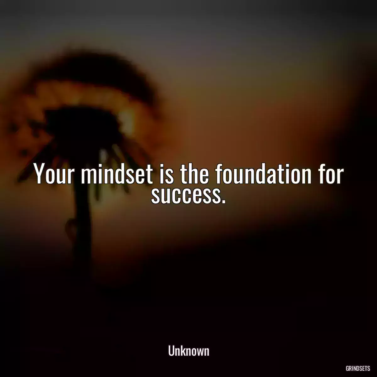 Your mindset is the foundation for success.