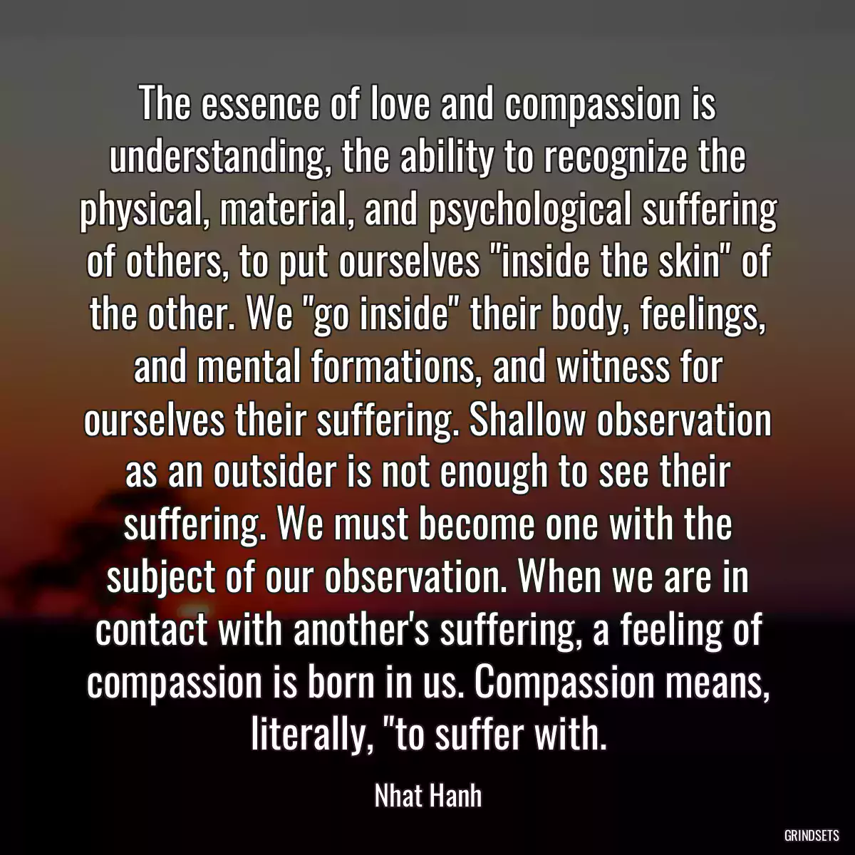 The essence of love and compassion is understanding, the ability to recognize the physical, material, and psychological suffering of others, to put ourselves \