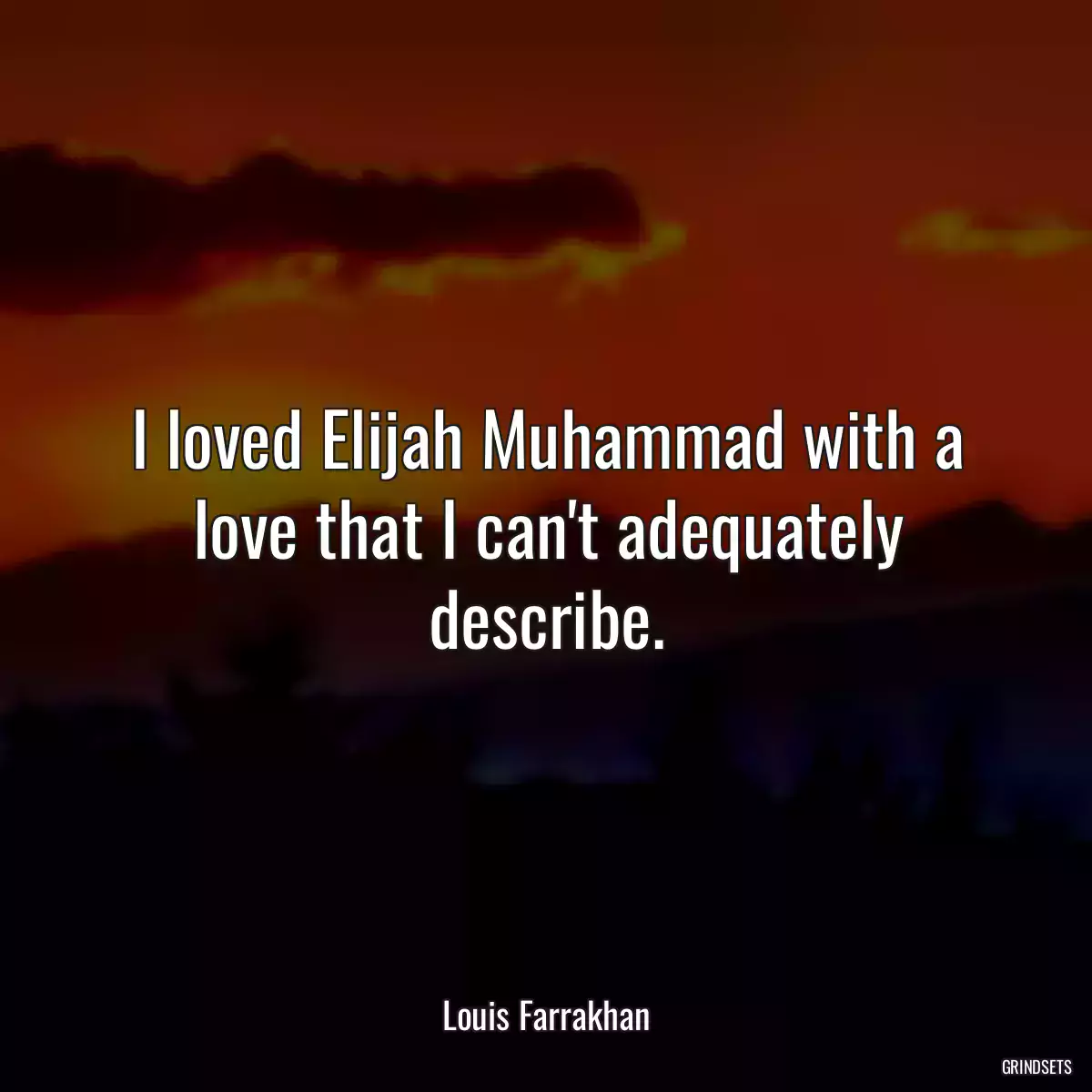 I loved Elijah Muhammad with a love that I can\'t adequately describe.