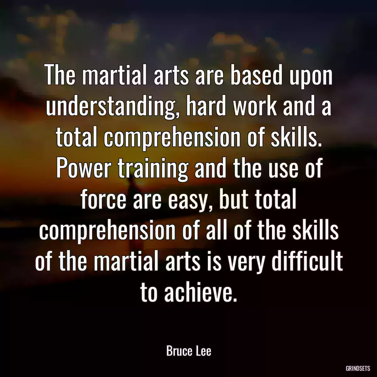 The martial arts are based upon understanding, hard work and a total comprehension of skills. Power training and the use of force are easy, but total comprehension of all of the skills of the martial arts is very difficult to achieve.