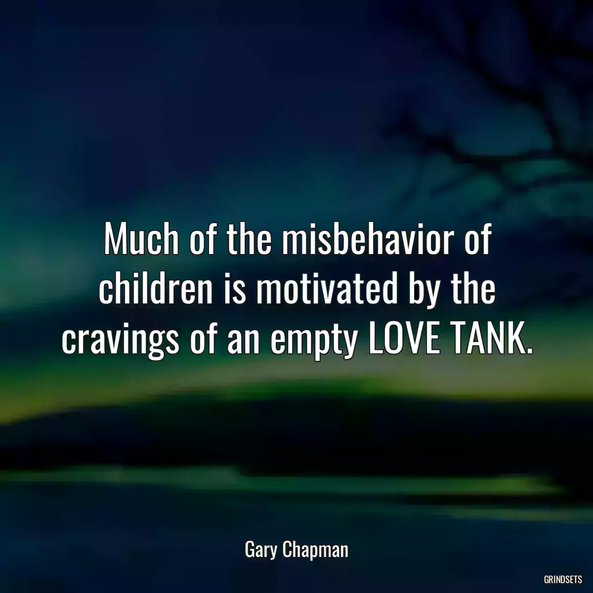 Much of the misbehavior of children is motivated by the cravings of an empty LOVE TANK.