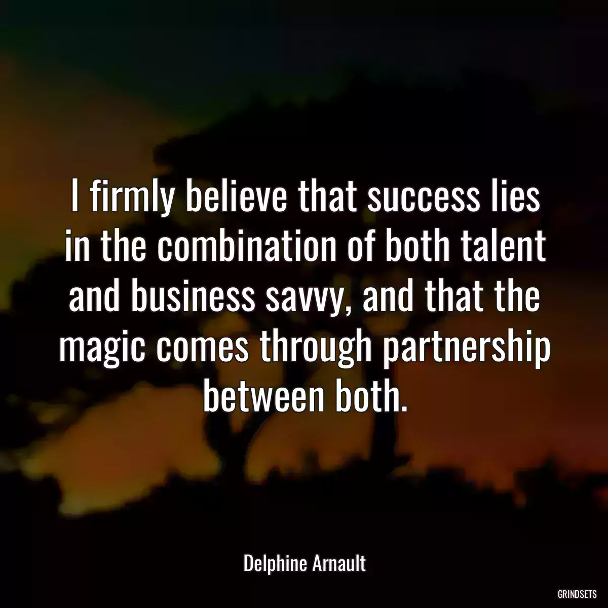 I firmly believe that success lies in the combination of both talent and business savvy, and that the magic comes through partnership between both.