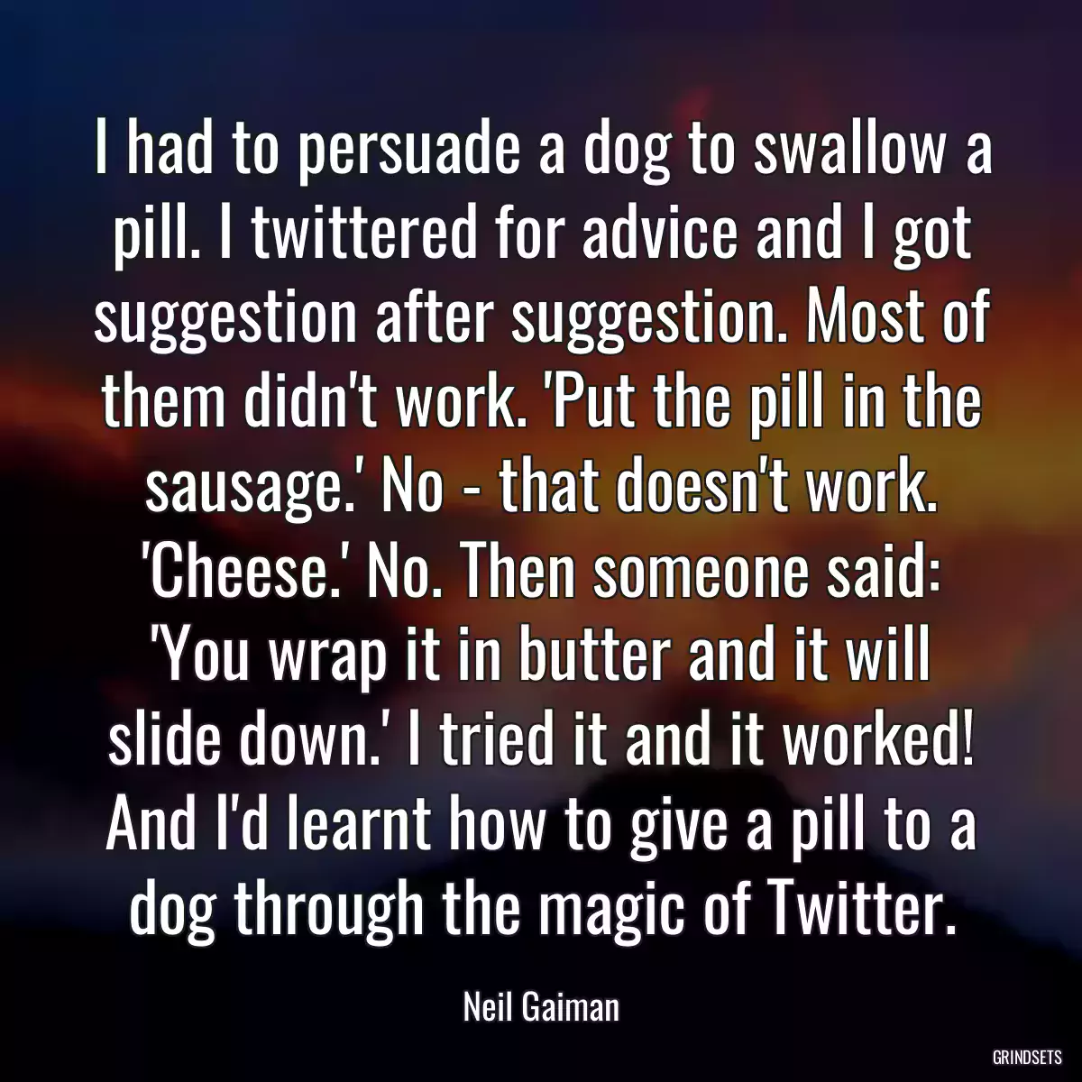 I had to persuade a dog to swallow a pill. I twittered for advice and I got suggestion after suggestion. Most of them didn\'t work. \'Put the pill in the sausage.\' No - that doesn\'t work. \'Cheese.\' No. Then someone said: \'You wrap it in butter and it will slide down.\' I tried it and it worked! And I\'d learnt how to give a pill to a dog through the magic of Twitter.