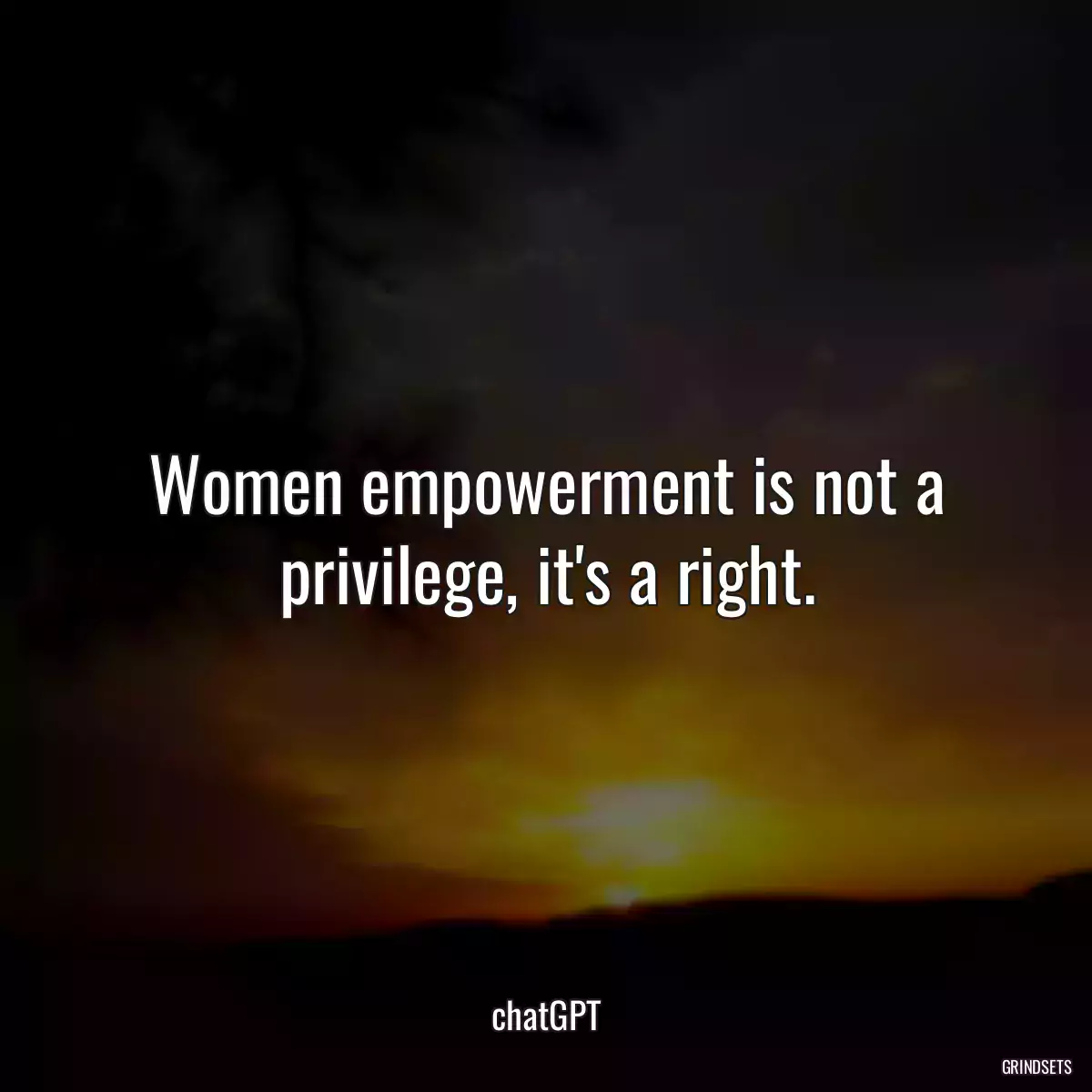 Women empowerment is not a privilege, it\'s a right.