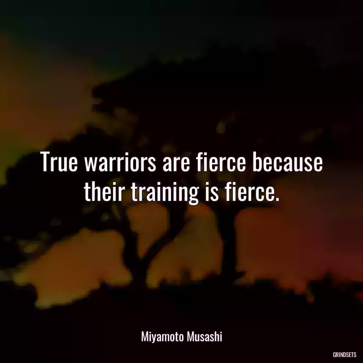 True warriors are fierce because their training is fierce.