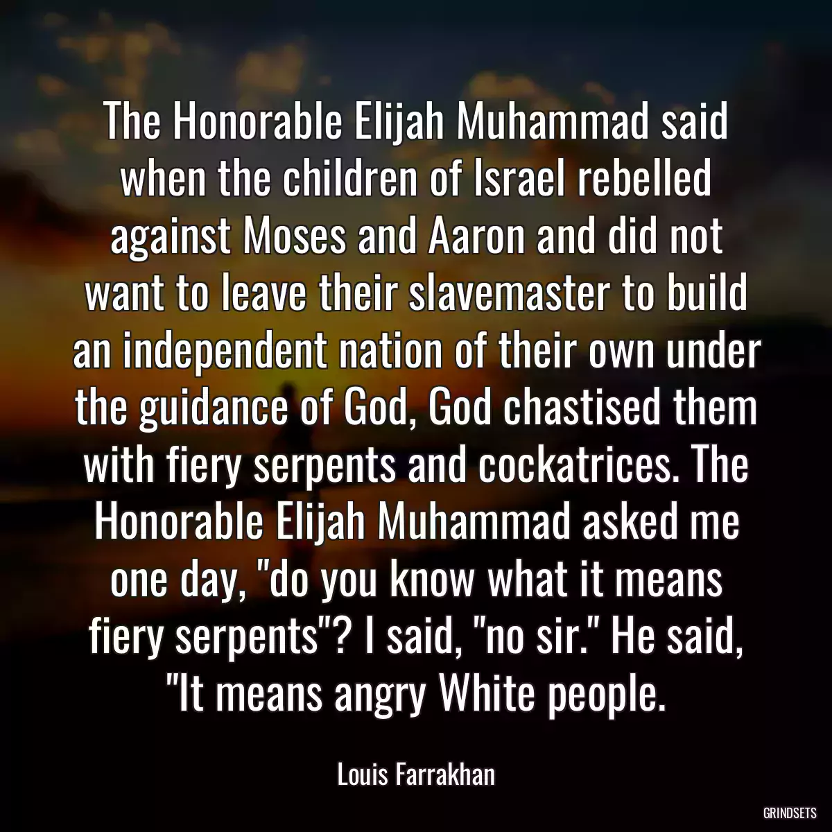 The Honorable Elijah Muhammad said when the children of Israel rebelled against Moses and Aaron and did not want to leave their slavemaster to build an independent nation of their own under the guidance of God, God chastised them with fiery serpents and cockatrices. The Honorable Elijah Muhammad asked me one day, \