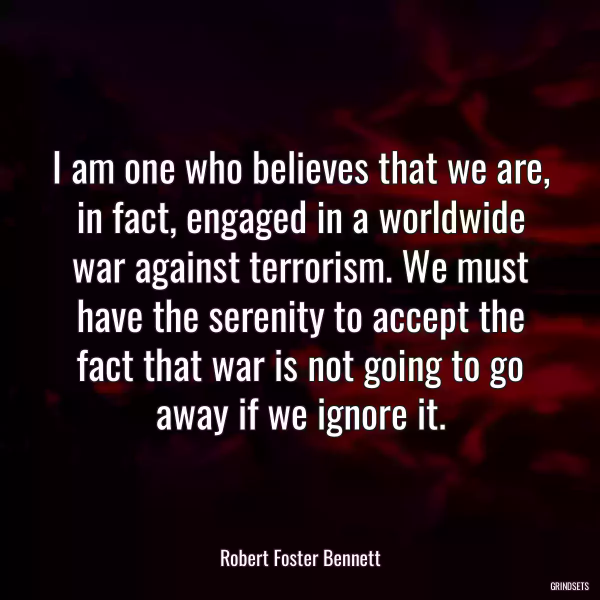 I am one who believes that we are, in fact, engaged in a worldwide war against terrorism. We must have the serenity to accept the fact that war is not going to go away if we ignore it.