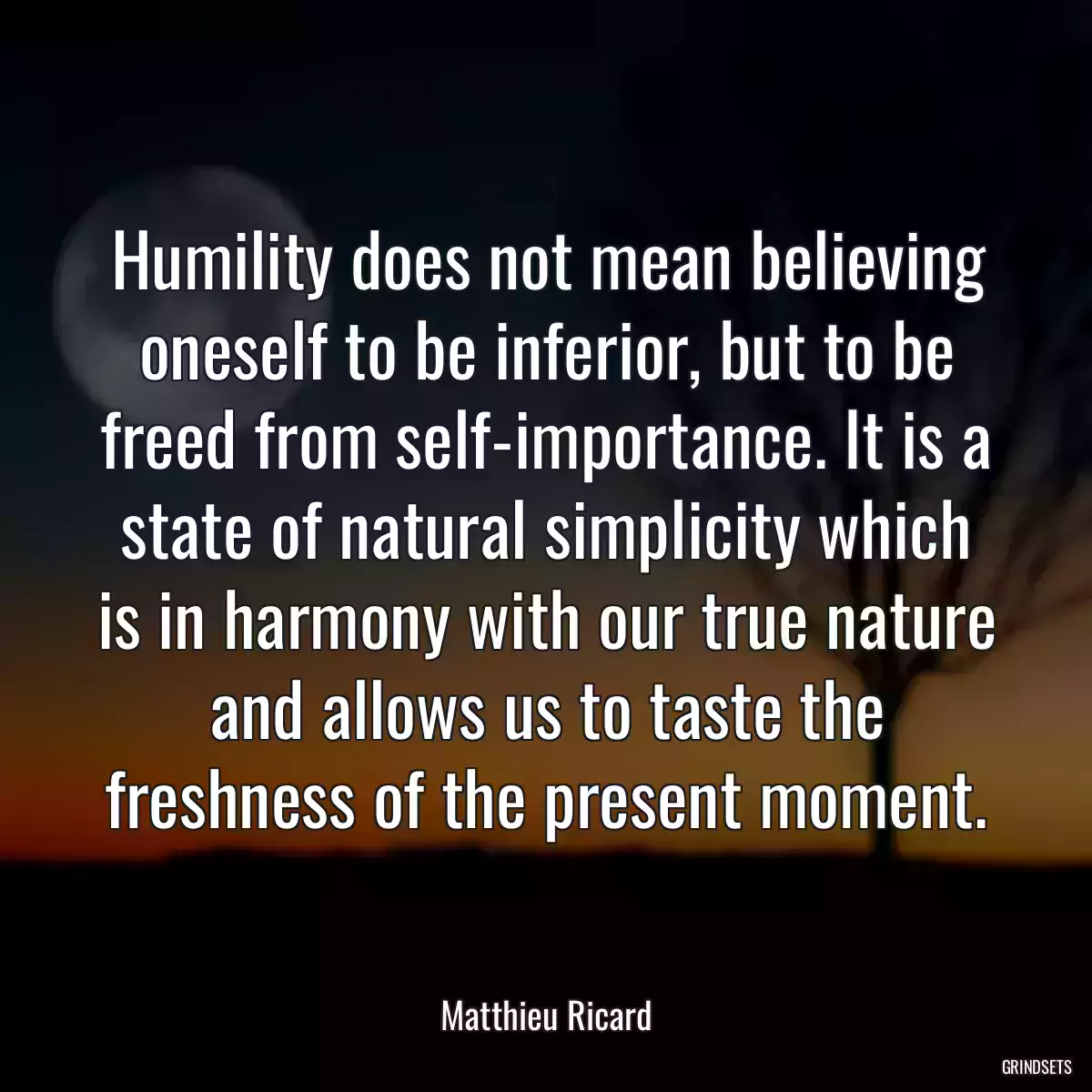 Humility does not mean believing oneself to be inferior, but to be freed from self-importance. It is a state of natural simplicity which is in harmony with our true nature and allows us to taste the freshness of the present moment.