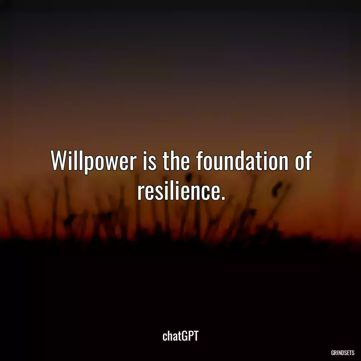 Willpower is the foundation of resilience.