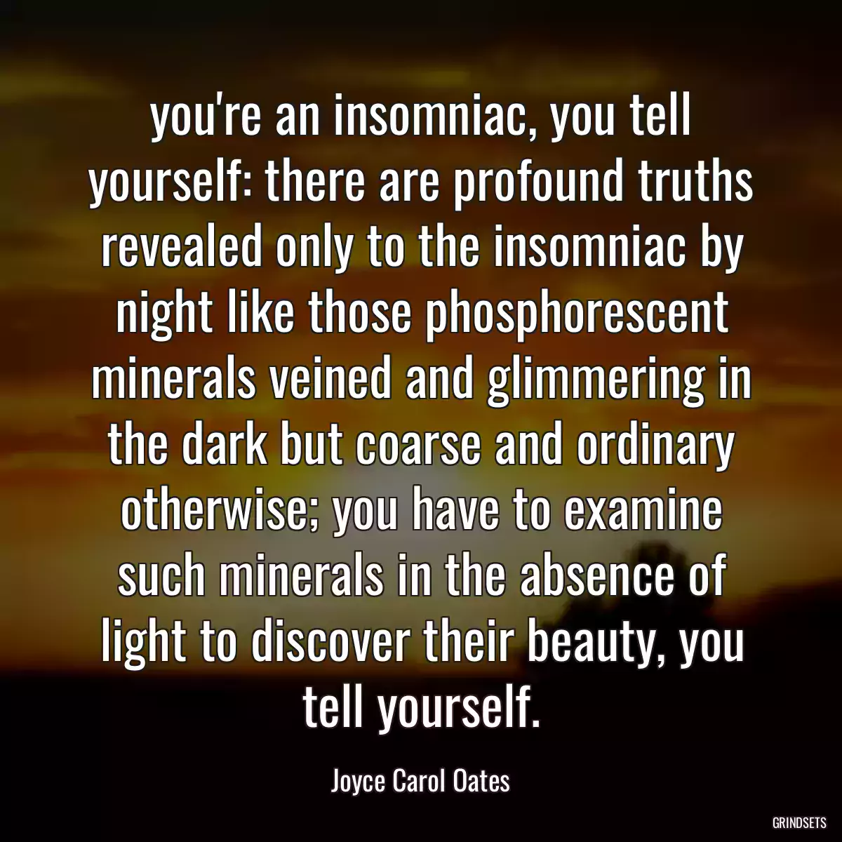 you\'re an insomniac, you tell yourself: there are profound truths revealed only to the insomniac by night like those phosphorescent minerals veined and glimmering in the dark but coarse and ordinary otherwise; you have to examine such minerals in the absence of light to discover their beauty, you tell yourself.