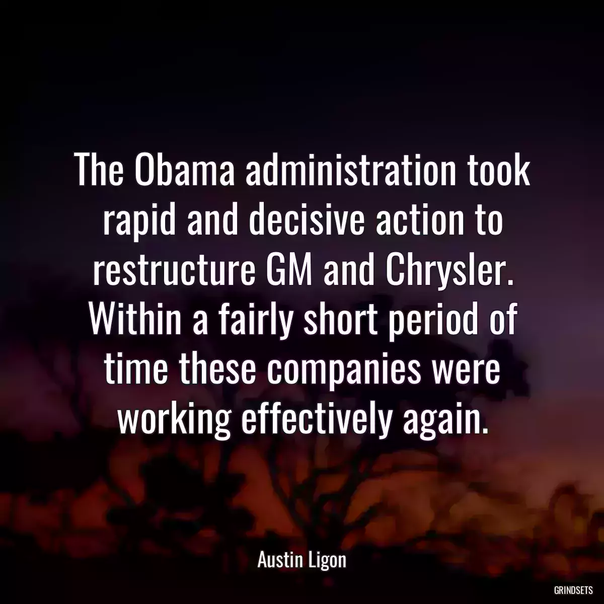 The Obama administration took rapid and decisive action to restructure GM and Chrysler. Within a fairly short period of time these companies were working effectively again.