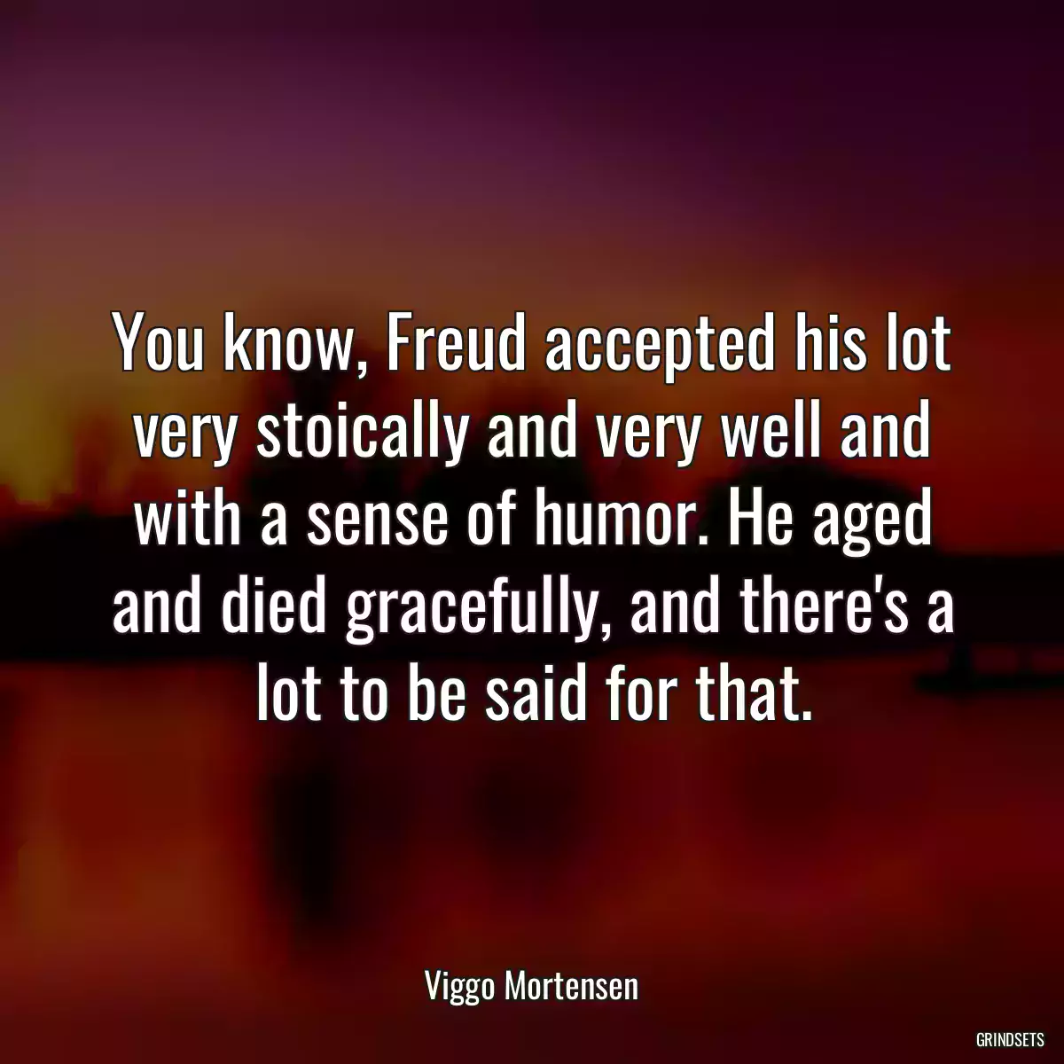 You know, Freud accepted his lot very stoically and very well and with a sense of humor. He aged and died gracefully, and there\'s a lot to be said for that.