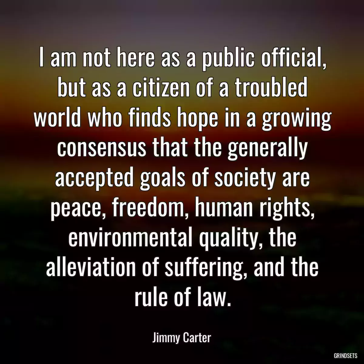 I am not here as a public official, but as a citizen of a troubled world who finds hope in a growing consensus that the generally accepted goals of society are peace, freedom, human rights, environmental quality, the alleviation of suffering, and the rule of law.