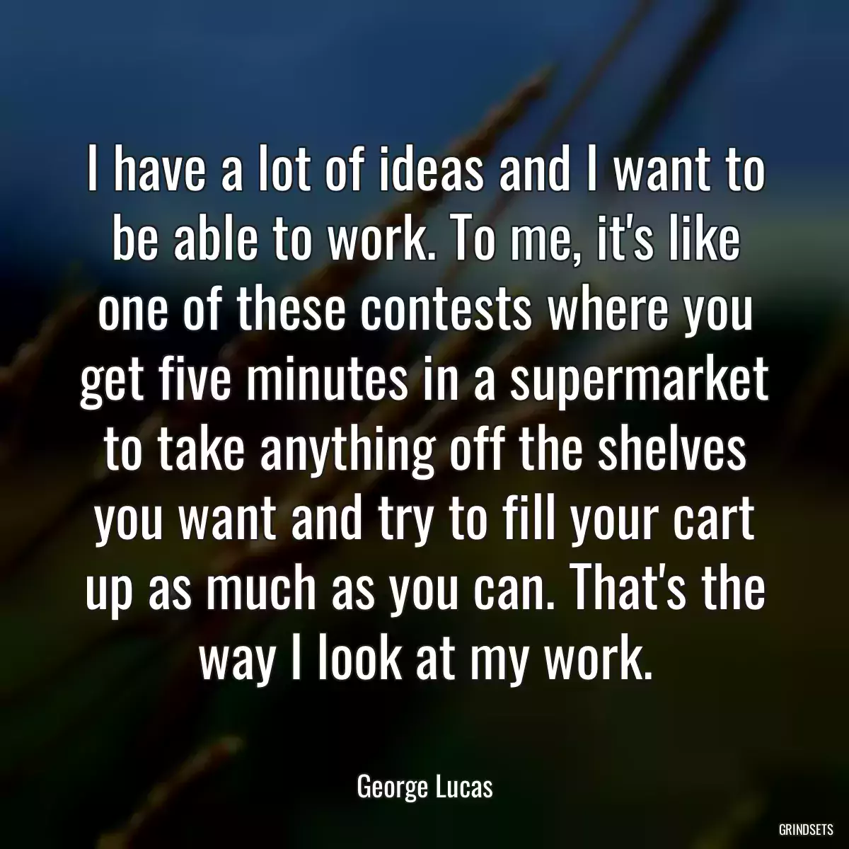 I have a lot of ideas and I want to be able to work. To me, it\'s like one of these contests where you get five minutes in a supermarket to take anything off the shelves you want and try to fill your cart up as much as you can. That\'s the way I look at my work.