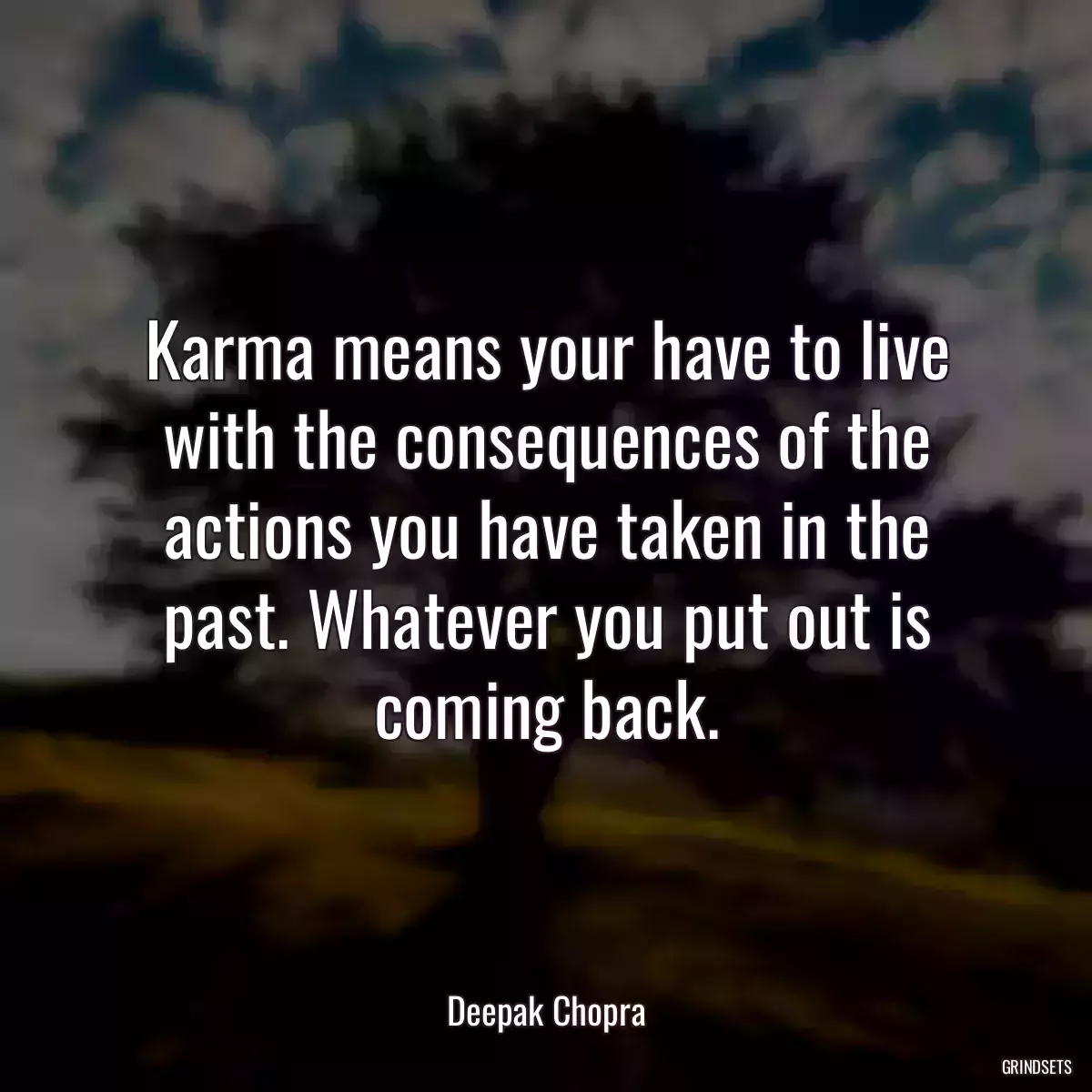 Karma means your have to live with the consequences of the actions you have taken in the past. Whatever you put out is coming back.