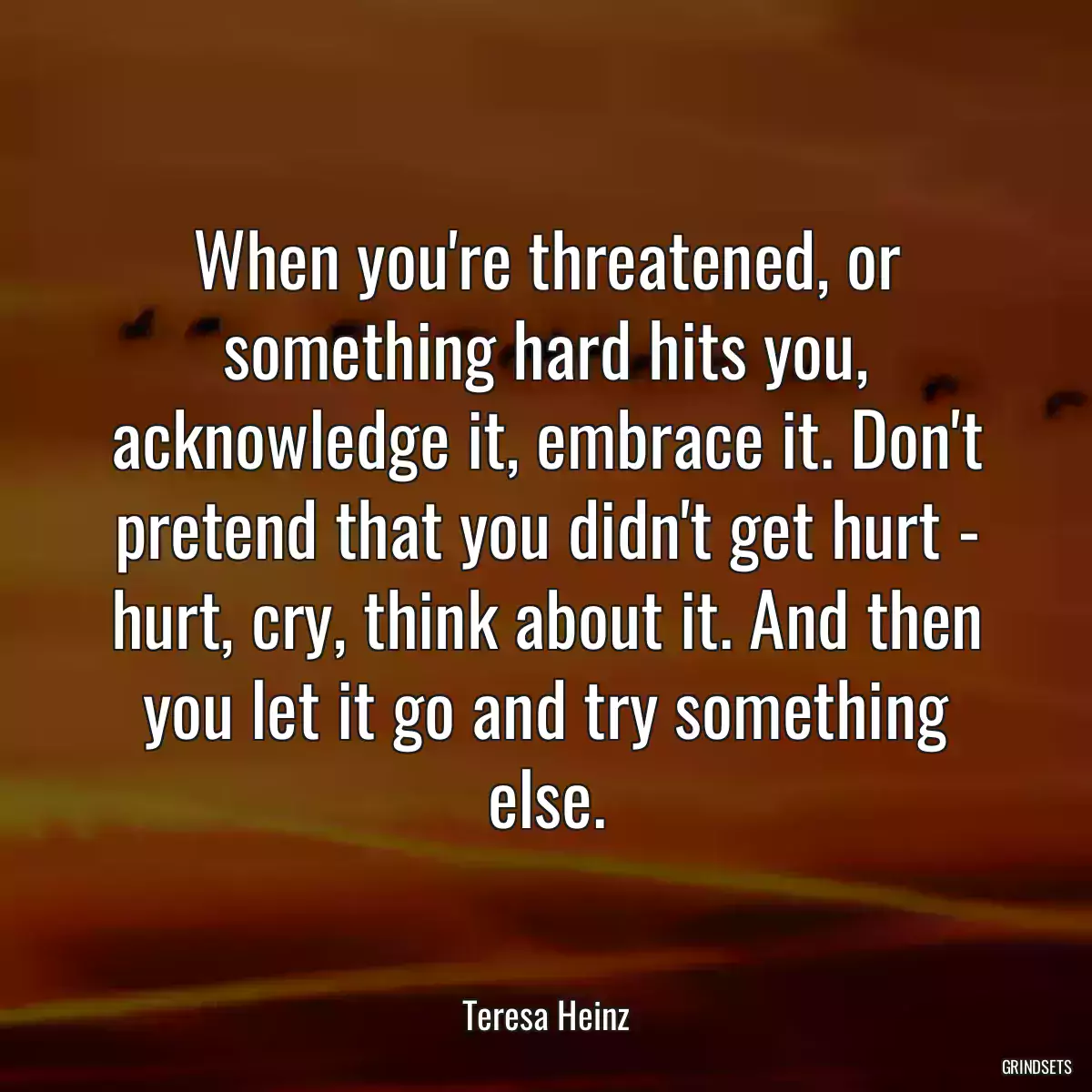 When you\'re threatened, or something hard hits you, acknowledge it, embrace it. Don\'t pretend that you didn\'t get hurt - hurt, cry, think about it. And then you let it go and try something else.