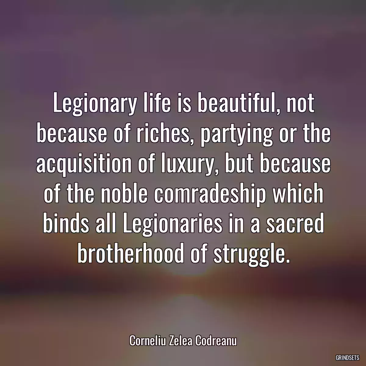 Legionary life is beautiful, not because of riches, partying or the acquisition of luxury, but because of the noble comradeship which binds all Legionaries in a sacred brotherhood of struggle.