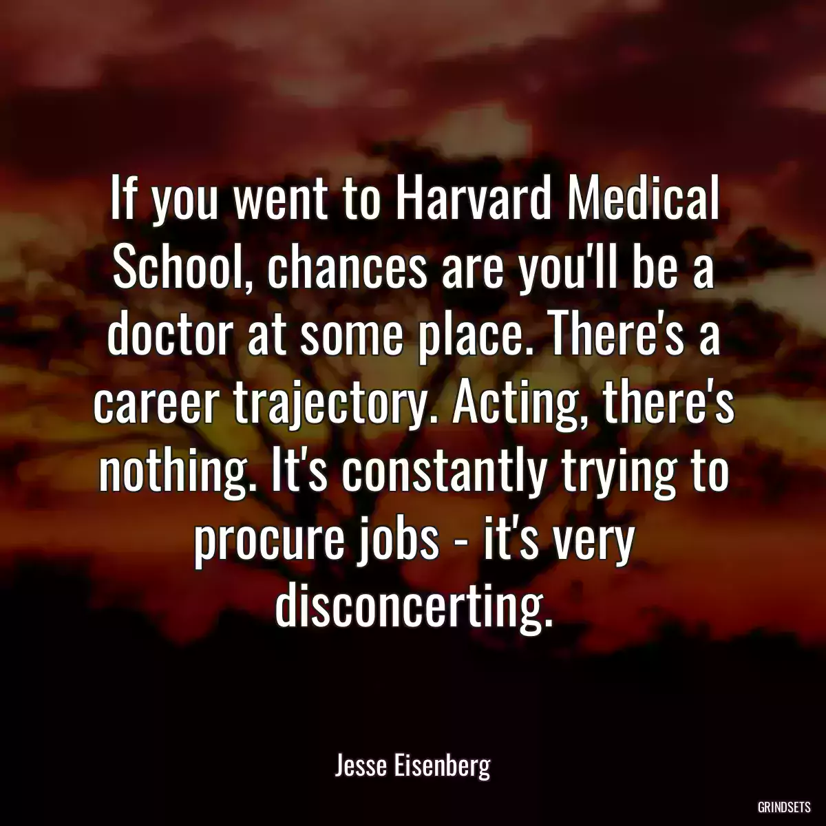 If you went to Harvard Medical School, chances are you\'ll be a doctor at some place. There\'s a career trajectory. Acting, there\'s nothing. It\'s constantly trying to procure jobs - it\'s very disconcerting.