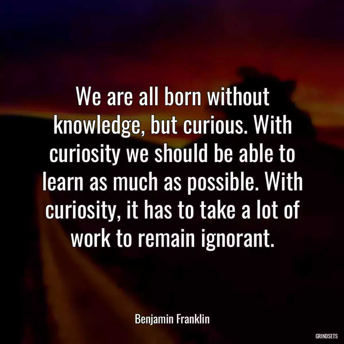 We are all born without knowledge, but curious. With curiosity we should be able to learn as much as possible. With curiosity, it has to take a lot of work to remain ignorant.