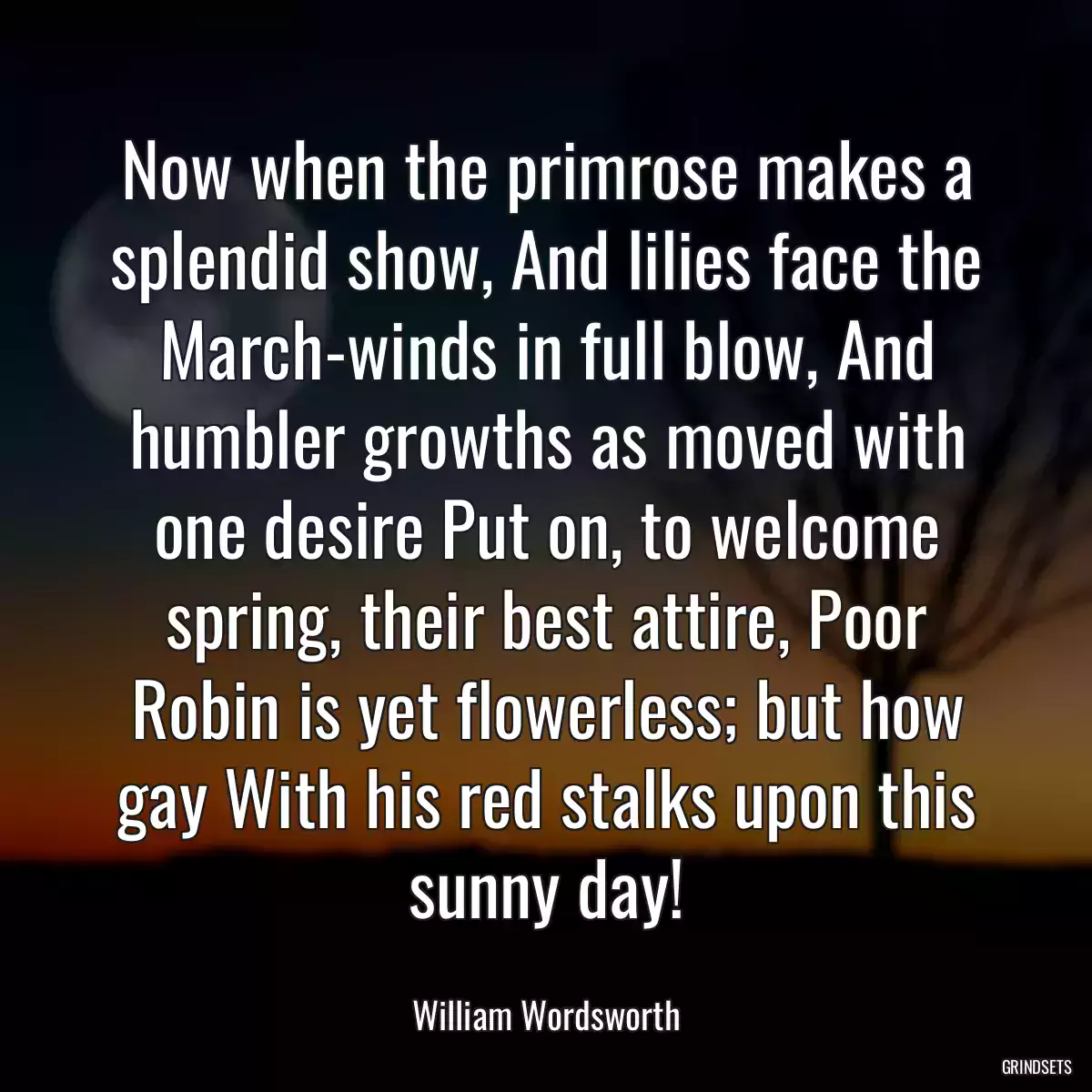 Now when the primrose makes a splendid show, And lilies face the March-winds in full blow, And humbler growths as moved with one desire Put on, to welcome spring, their best attire, Poor Robin is yet flowerless; but how gay With his red stalks upon this sunny day!