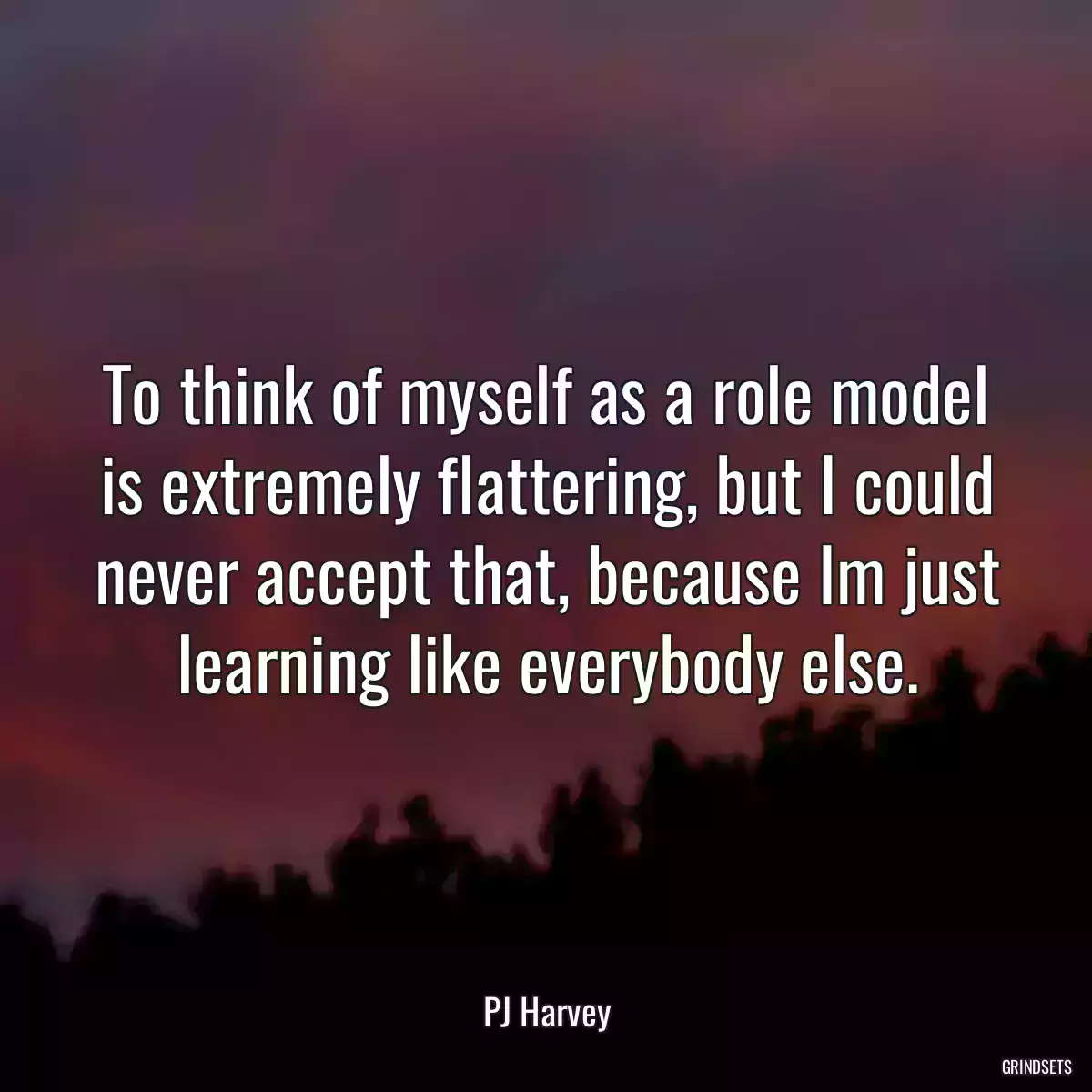 To think of myself as a role model is extremely flattering, but I could never accept that, because Im just learning like everybody else.