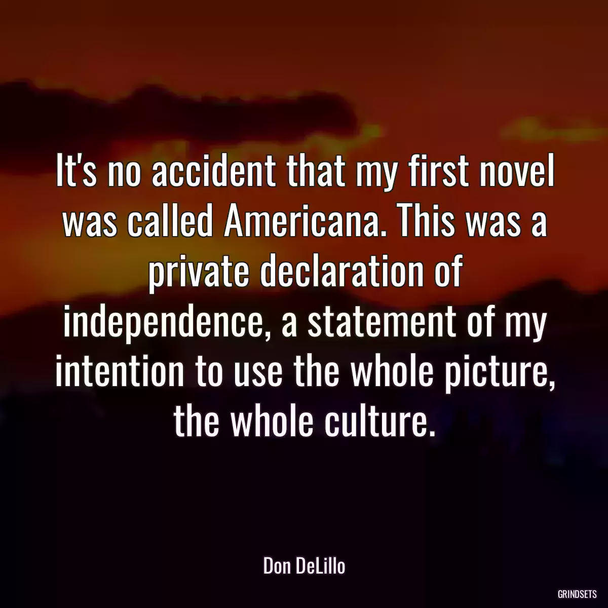 It\'s no accident that my first novel was called Americana. This was a private declaration of independence, a statement of my intention to use the whole picture, the whole culture.