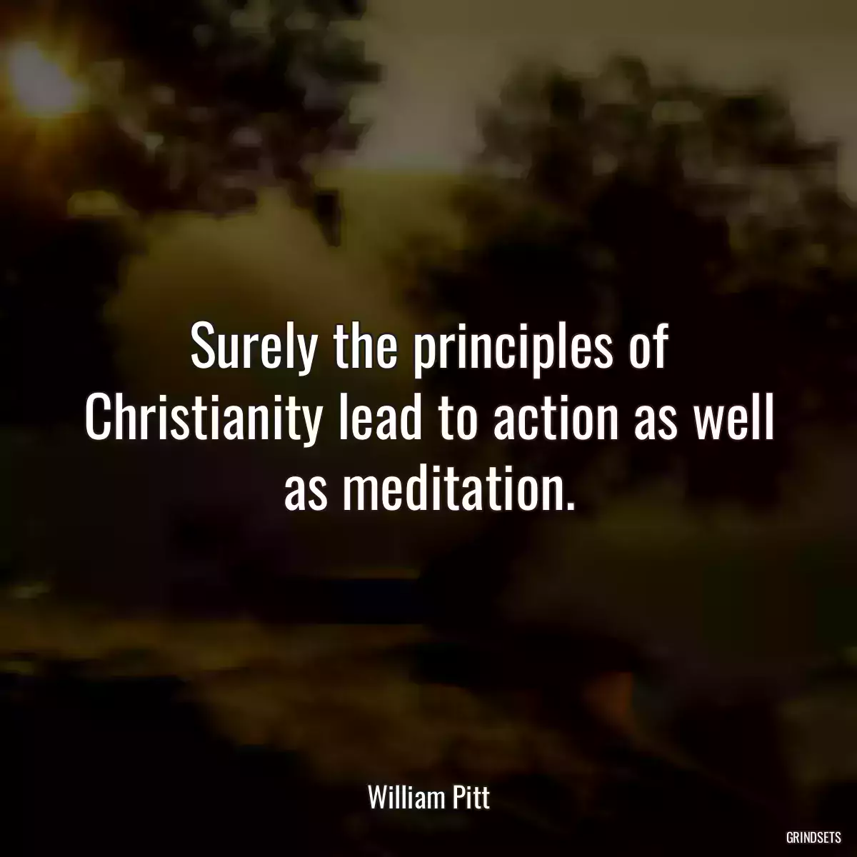 Surely the principles of Christianity lead to action as well as meditation.