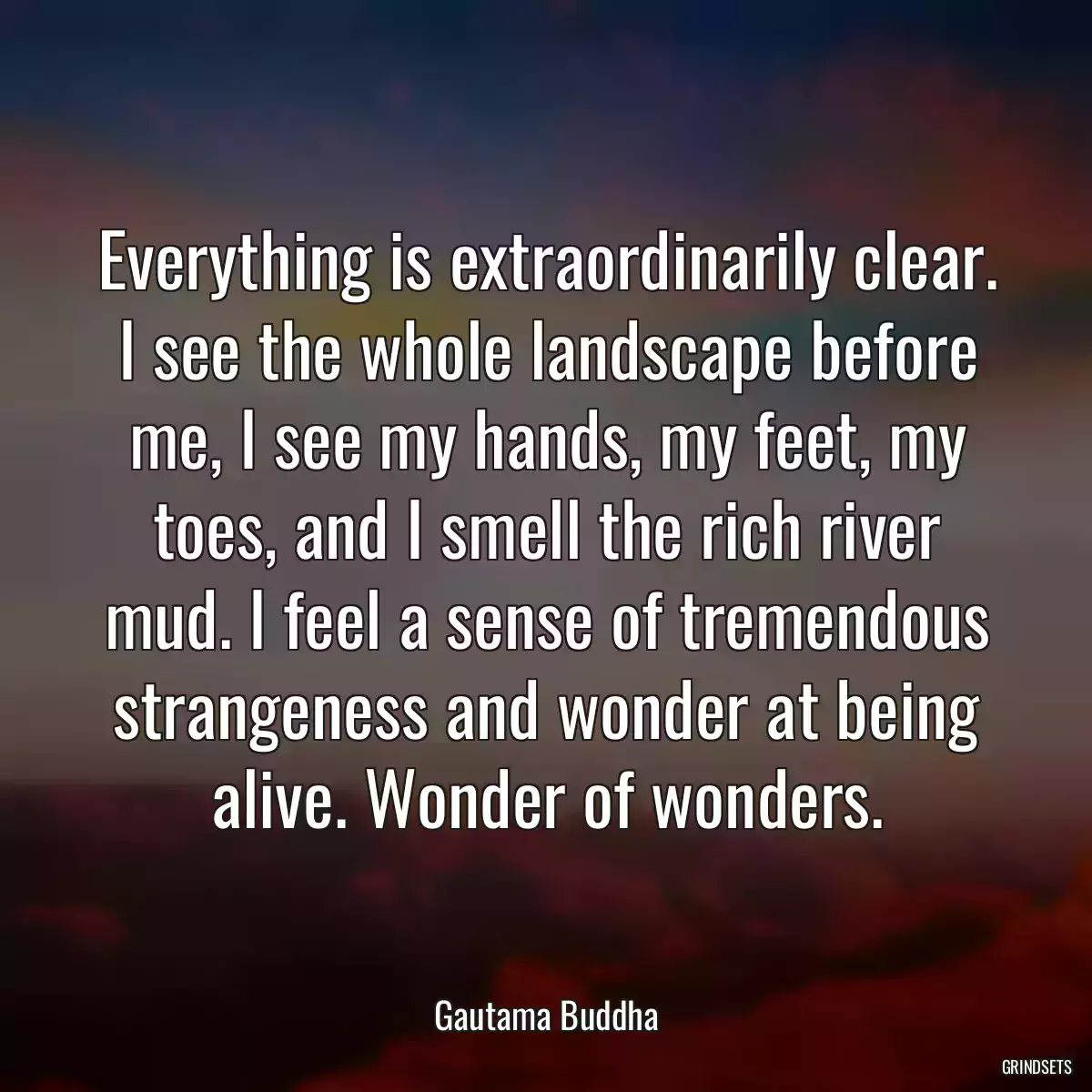 Everything is extraordinarily clear. I see the whole landscape before me, I see my hands, my feet, my toes, and I smell the rich river mud. I feel a sense of tremendous strangeness and wonder at being alive. Wonder of wonders.